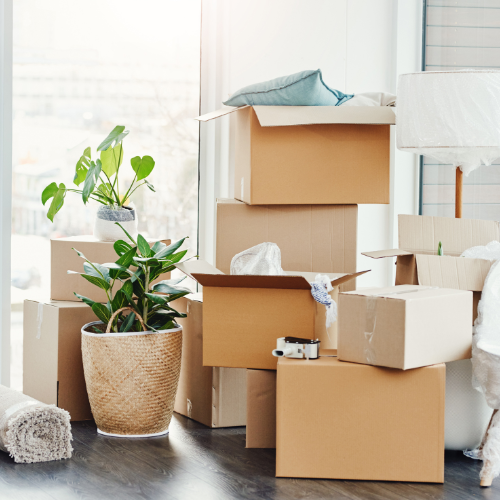 Professional Moving Services in Prescott AZ